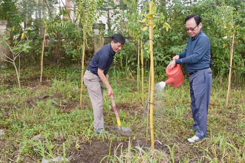 Hơn 1.500 cây xanh được trồng tại Lễ phát động trồng rừng, trồng cây phân tán năm 2020