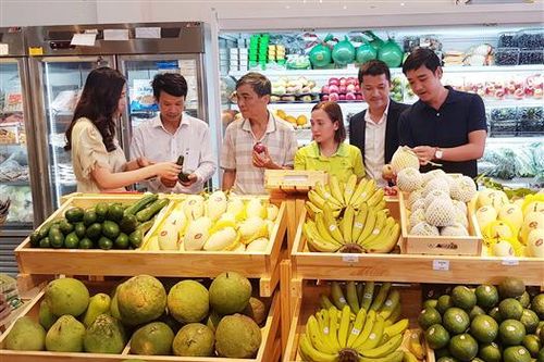 Công ty Aoifoods khai trương cửa hàng bán lẻ thực phẩm sạch tại Quảng Trị