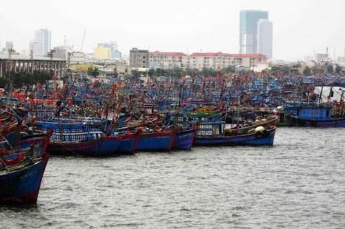 Tàu thuyền vào cảng tránh, trú bão sẽ mất phí