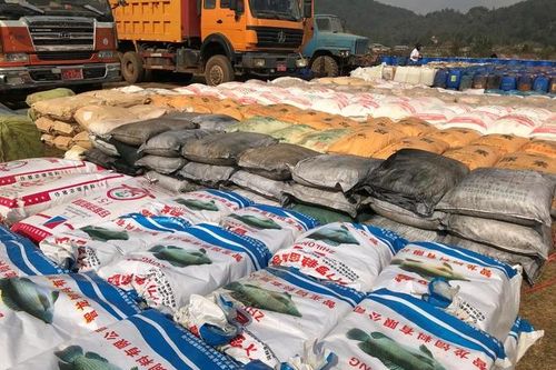 Bắt giữ lượng ma túy đá lớn chưa từng thấy gần Tam giác Vàng