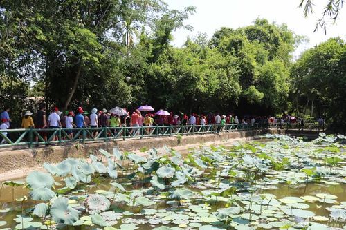 Dòng người xúc động về thăm Kim Liên quê Bác tháng Năm