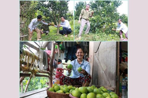 Tương Dương khơi dậy tinh thần vươn lên thoát nghèo của người dân
