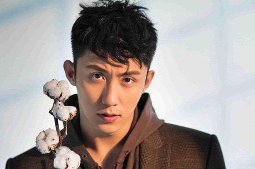Vợ cũ 'Thượng ẩn' Hoàng Cảnh Du tự tử