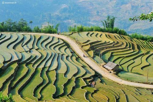 Tây Bắc đẹp mơ màng trong mùa nước đổ
