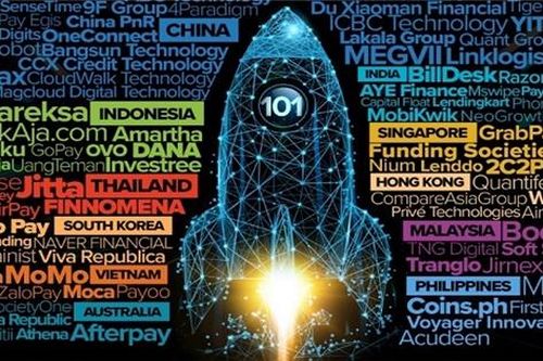 Tima, Moca, Momo, ZaloPay, Payoo tăng trưởng thần tốc