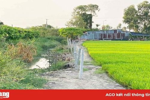 Sẽ sớm xử lý phản ánh của 13 hộ dân