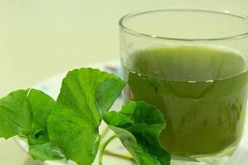 Nắng lên nhiều người có cách uống nước rau má giải nhiệt sai lầm