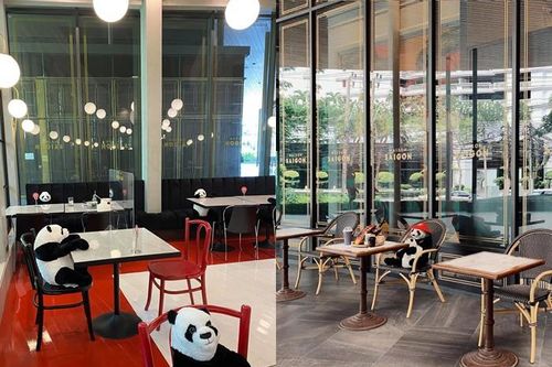 Nhà hàng Việt tại Thái Lan sử dụng nhân viên... gấu trúc để 'tiếp chuyện' thực khách