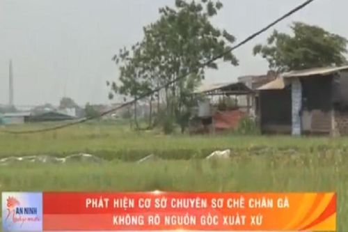 Phát hiện cơ sở sơ chế chân gà không rõ nguồn gốc