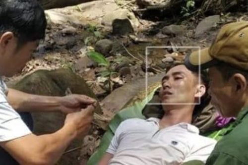 Người đàn ông nguy kịch vì bị ong rừng đốt