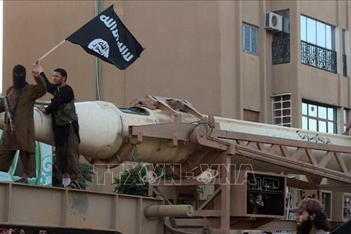 IS hành quyết 11 chiến binh thân Chính phủ Syria