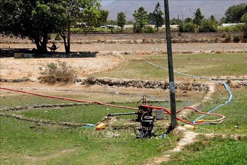 Áp dụng công nghệ thông tin trong ứng phó với thiên tai, thảm họa năm 2020