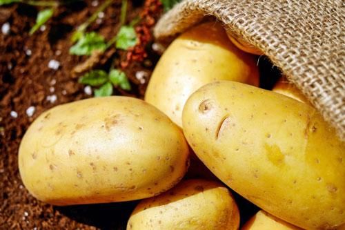 Ăn rau rất tốt nhưng có 5 loại rau củ này nếu không nấu chín sẽ thành 'thuốc độc', chớ dại mà ăn