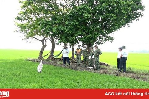 Không lơ là công tác phòng, chống buôn lậu