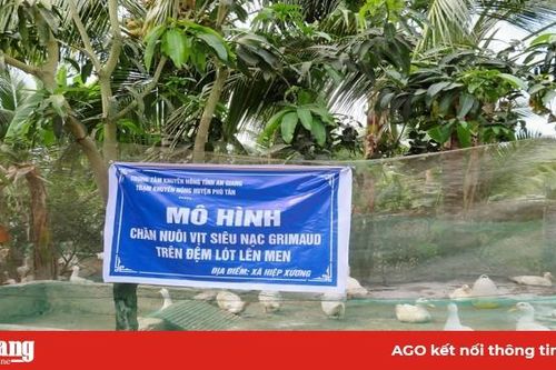 Chăn nuôi áp dụng kỹ thuật tiến bộ