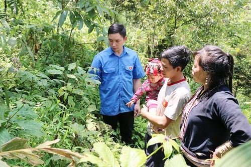 Nông dân Lào Cai vâng lời Bác dặn