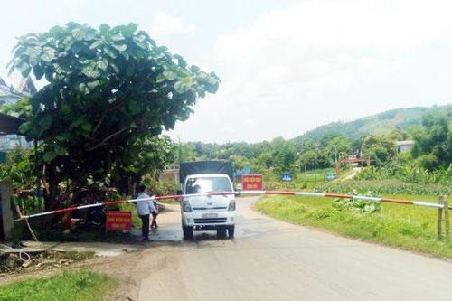 Văn Bàn: Lập 2 chốt kiểm soát việc vận chuyển lợn và sản phẩm của lợn ra, vào địa bàn