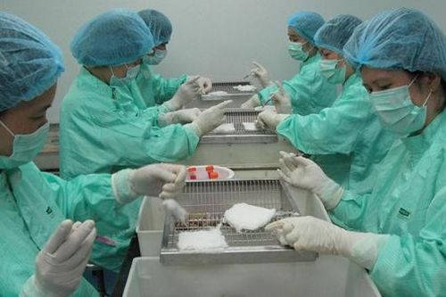 Chữ và nghĩa: Vaccine - Chuyện cũ đang mới