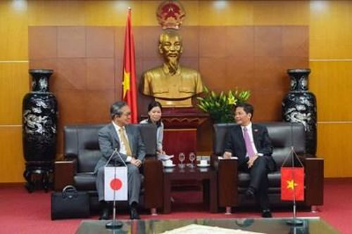Việt Nam sẽ xuất khẩu vải tươi sang Nhật Bản trong năm 2020