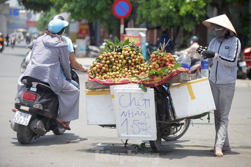 Người lao động nhọc nhằn mưu sinh dưới nắng nóng đầu hè