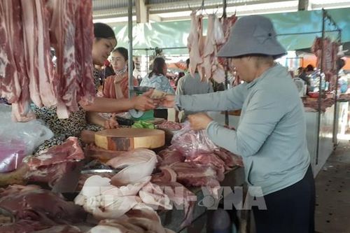 Giá lợn hơi tiến sát 100.000 đồng/kg