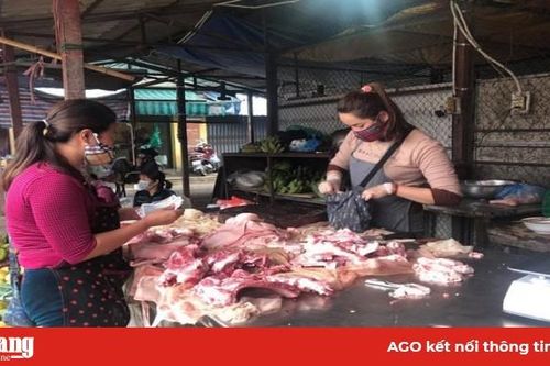 Giá heo hơi hôm nay 20-5: Một tháng tăng 15.000 đồng/kg, các ông lớn đua nhau đổ tiền tỷ vào thịt lợn