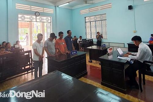 Săn bắt động vật rừng quý hiếm, 4 bị cáo lãnh án