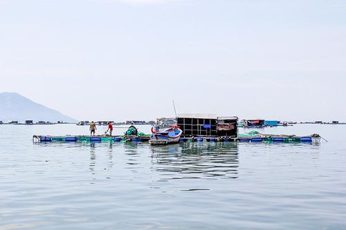 Xử lý lồng bè trước biển Vạn Giã