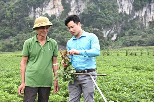 Hiệu quả công tác luân chuyển cán bộ ở Lâm Bình