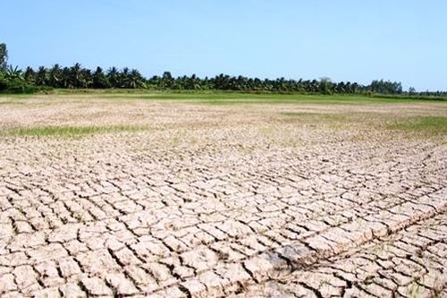 Tập trung ứng phó nắng nóng, hạn hán và xâm nhập mặn tại Trung Bộ, Tây Nguyên