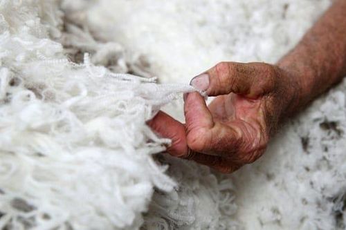 Căng thẳng Trung Quốc-Australia: Sau thịt bò và lúa mạch, mặt hàng nào sẽ chịu đòn 'trả đũa'?