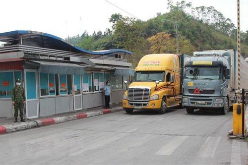 Bộ Công Thương: Hoạt động xuất khẩu sang Trung Quốc khởi sắc trở lại