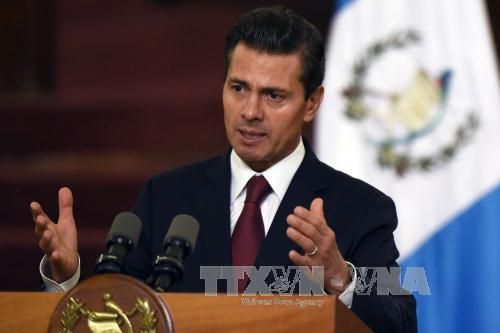 Mexico: Cựu Tổng thống Penã Nieto bị đề nghị điều tra tham nhũng