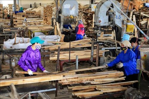Ngành chế biến, xuất khẩu gỗ chủ động thị trường để đạt mục tiêu 12 tỷ USD