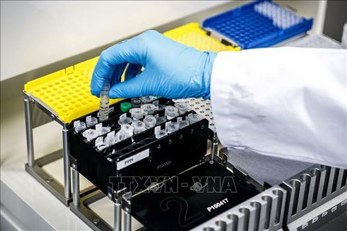Bỉ thử nghiệm lâm sàng thuốc trị COVID-19