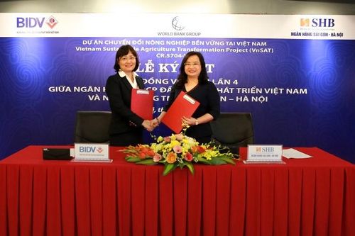 SHB đầu tư vốn đẩy mạnh phát triển kinh tế Đồng bằng sông Cửu Long