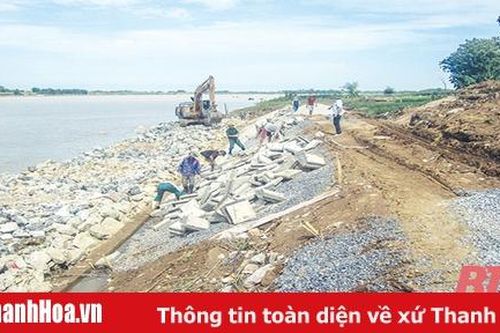 Gấp rút xử lý sạt lở, bảo vệ khu dân cư và đê hữu sông Mã