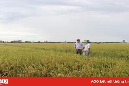 Thành quả nổi bật của dự án VnSAT
