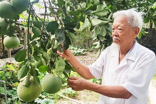 Nhiều người tự nguyện không nhận tiền hỗ trợ khó khăn do COVID-19