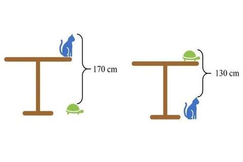Bài toán lớp 5 bạn thân gửi Albert Einstein, bạn có làm được?