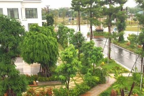Hà Tĩnh: Khởi tố nhiều cán bộ chủ chốt thị trấn vì sai phạm đất đai