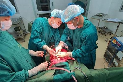 Trèo hái vải thanh niên ngã vào cơn 'thập tử nhất sinh'