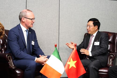 Ireland đánh giá cao vai trò chủ động của Việt Nam trong khu vực và quốc tế