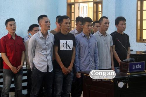 Đường đi bất thường của 5 xe gỗ 'khủng'