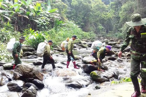 'Biệt đội' giải cứu thú rừng