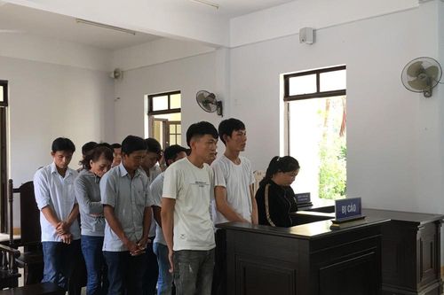 10 đối tượng tham gia sới bạc trên đồi keo bị tuyên 89 tháng tù giam