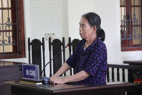 Bà nội đẩy cháu ngã xuống đập ở Nghệ An lĩnh 12 năm tù