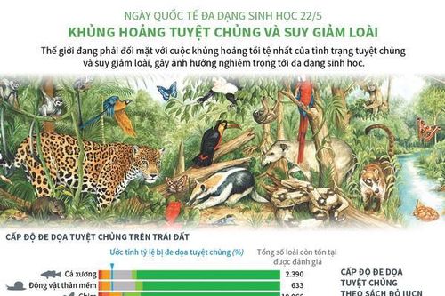 Khủng hoảng tuyệt chủng và suy giảm loài