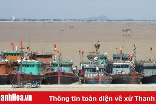 Diện mạo mới nơi cửa biển Lạch Trường