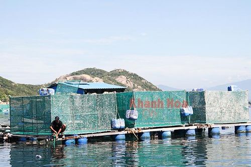 Mùa buồn ở… 'đảo tôm hùm'